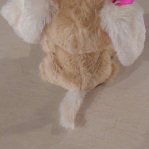 Li'l Big Paws Fur Real Friends like new with feeding sounds