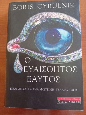 Psychology book The Sensitive Self like new