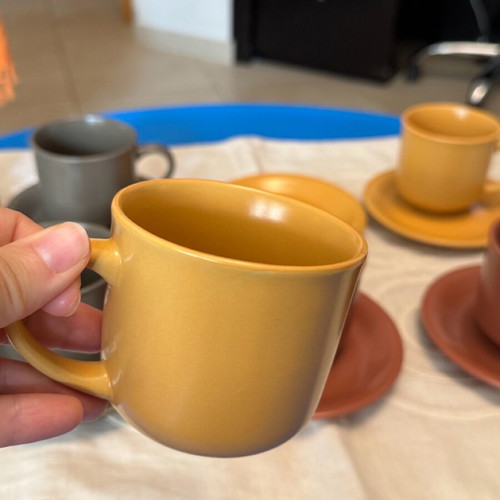 Set of 8 coffee cups with saucers new in earthy autumn shades