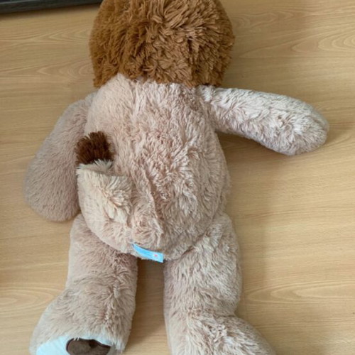 Teddy bear lion plush toy
