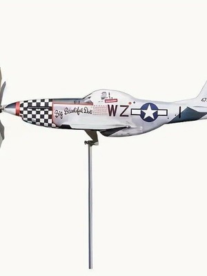 Garden Decorative Air Direction Indicator Airplane new