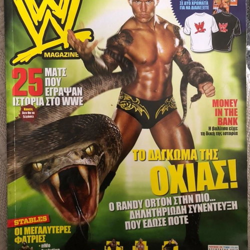 WWE Magazine issue 29 used, collectible August 2010