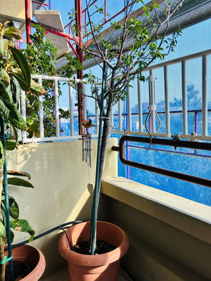 Proteks Balcony Safety Rails like new, 14 meters, 45 cm height