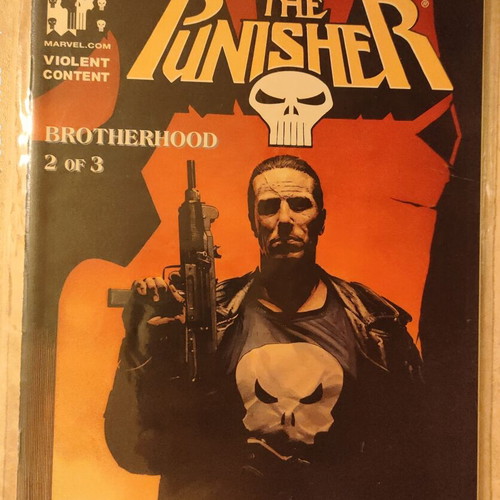 The Punisher #20-22 Marvel Knights comics mint condition