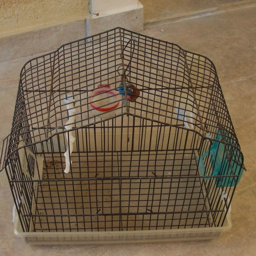 Bird cages new, set of 4, red and green with accessories