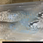  Παππουτσια Nike TN