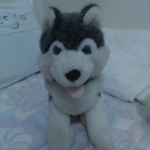 Plush Husky Dog Like New