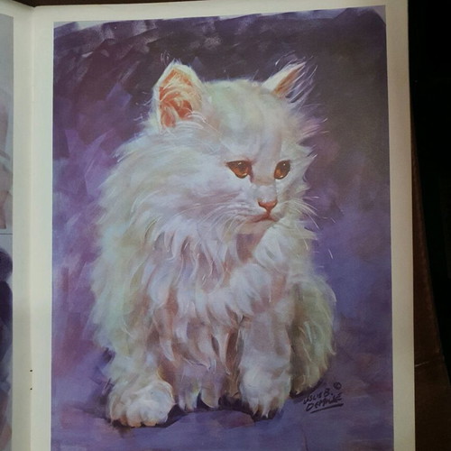 How to Draw Cats and Kittens book used