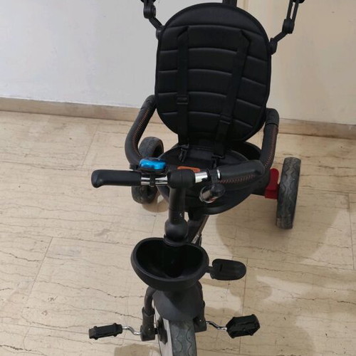 Byox tricycle used with removable handlebar and canopy