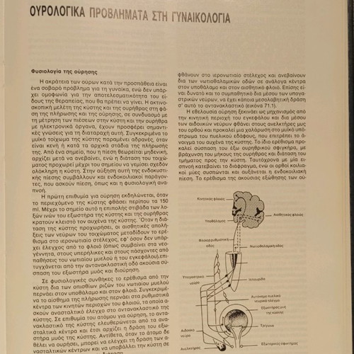 SUMMARY OF OBSTETRICS AND GYNECOLOGY