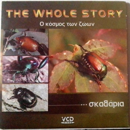 Documentary The World of Animals - Beetles DVD like new, dubbed