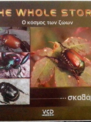 Documentary The World of Animals - Beetles DVD like new, dubbed