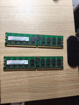 Hynix Server RAM 2GB DDR2 ECC Registered DIMM used, pack of 2