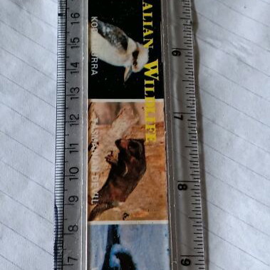 Australian ruler used with wildlife pictures