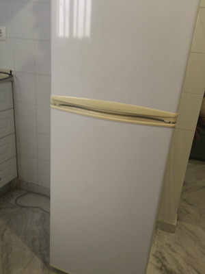 Trenton 156 refrigerator dimensions 135x48 like new