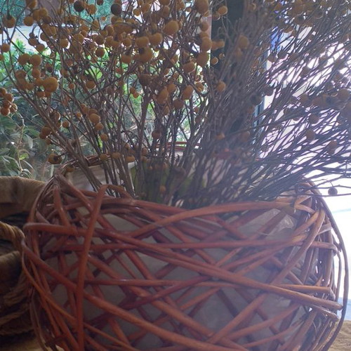 Basket-Planter new with nylon lining