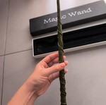 Hermione's magic wand