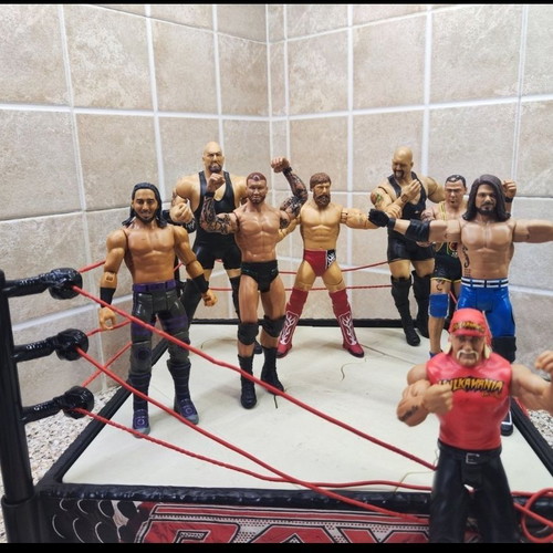 WWE Flex Force Breakdown Ring 2010 with 8 figures