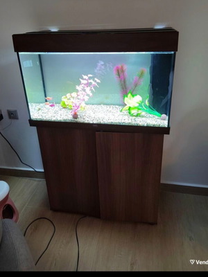 Juwel Rio 125 LED Aquarium set like new with cabinet and extras