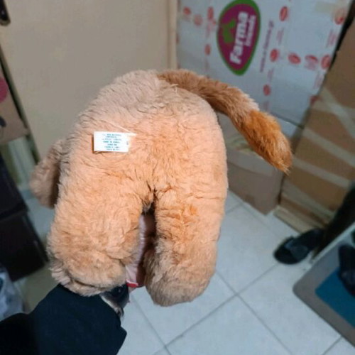 Plush lion used, washed and clean