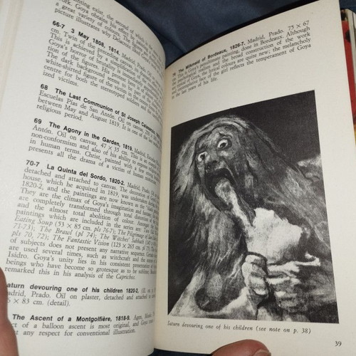 Goya Dolphin Art Book by Margherita Abbruzzese
