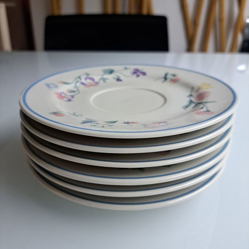 Set of 6 plates with classic country floral pattern like new