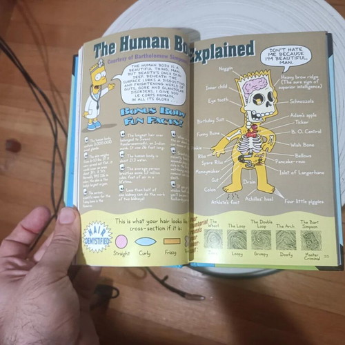 Bart Simpson's Guide to Life book by Matt Groening