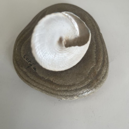 Decorative item with natural materials 12cm x 9cm new