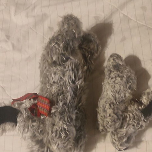 Stuffed dog mom and baby used with Scottish ribbon