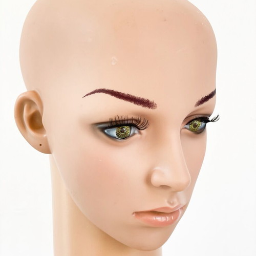 Female mannequin head with bust for display, wigs and jewelry