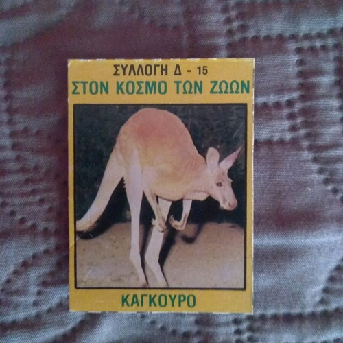 Collectible card D-15 Kangaroo from Blek series In the World of Animals like new
