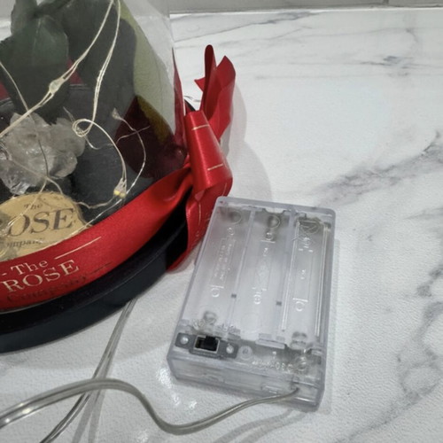 Preserved red rose in glass dome used with LED lights