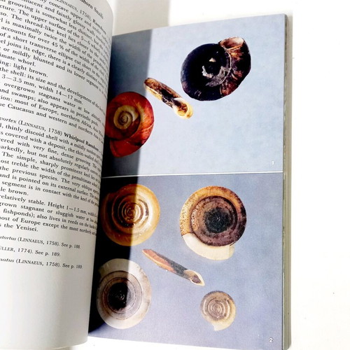 A Field Guide in Colour to Molluscs by Václav Pfleger like new