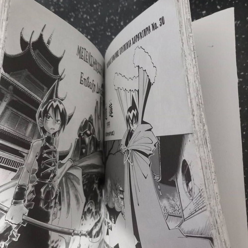 Bleach Vol. 2, Death Note Vol. 4, Rurouni Kenshin Vol. 6, Shaman King Vol. 7, Love Hina Vol. 2 manga books