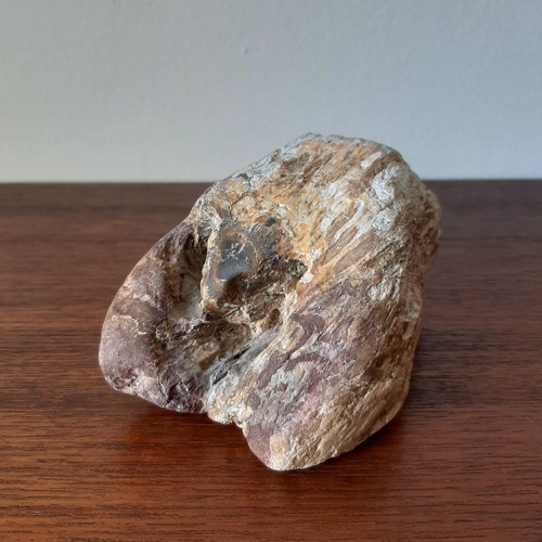 Petrified wood used, 7 x 5 x 3.5 cm, 468 g