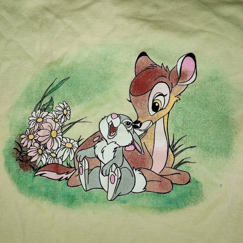 Bambi Baby Tee H&M Divided x Disney like new, size XS, light green
