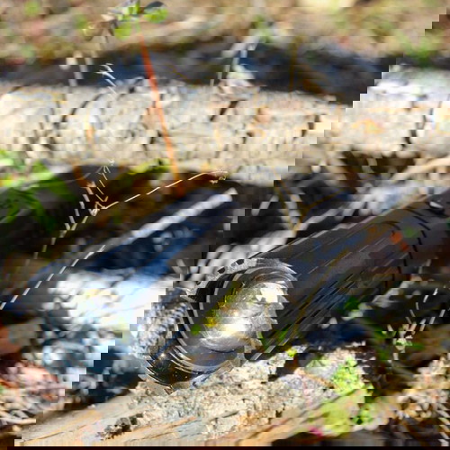 Emegencry Backpack Kit 30L Horse Tactical new