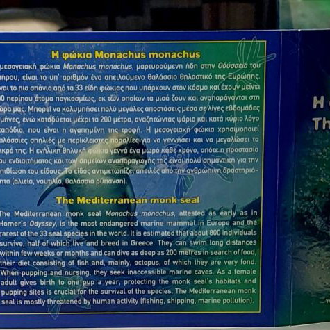 Monachus Monachus Seal collectible silver 5 € coin new