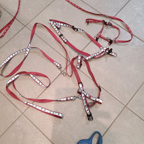 Dog items like new, coat, raincoat, leashes, harnesses for small dogs