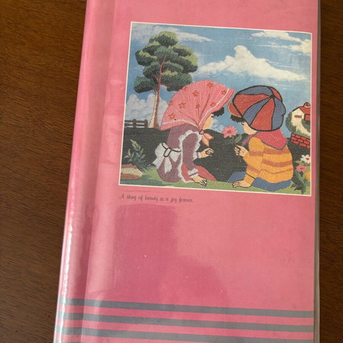 Vintage photo album for 96 photos new, Aye-Star 90s