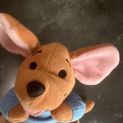 Rou Winnie the Pooh plush toy
