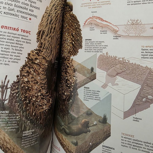 Atlas of Sciences Mammals book like new
