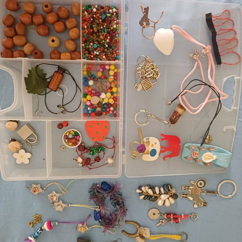 Craft Supplies Kit with Beads and Charms in Organizer Box