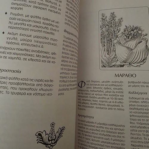 Modern Vegetable Growing book by Kosmas P. Paraskevopoulos