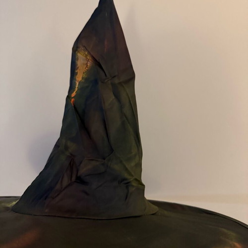 Witch carnival hat like new