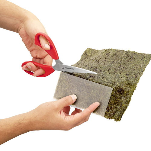Tescoma Handy sushi and roll maker new