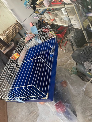 Rabbit cage like new