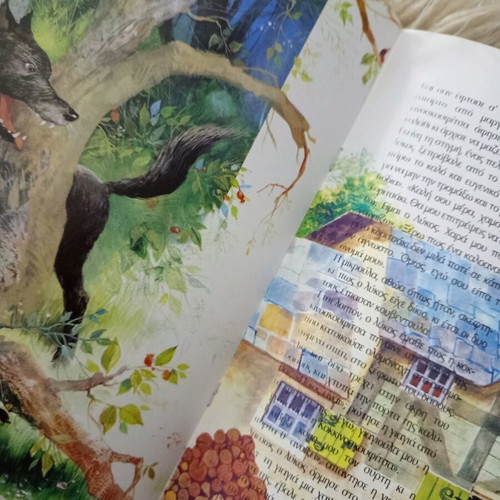 Children's storybooks used, set of 5