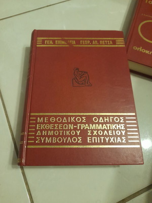 Methodical Guide to Grammar Essays like new
