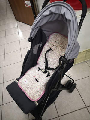 FoppaPedretti Piu'leggero Sport stroller grey used